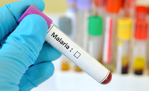 Malaria Niger 00