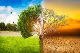climat1