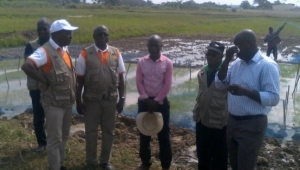 Côte d’Ivoire : L’ANADER veut réaliser une unité de production d’engrais,  bientôt la production de semences de riz par à Grand-Lahou