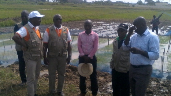 Côte d’Ivoire : L’ANADER veut réaliser une unité de production d’engrais,  bientôt la production de semences de riz par à Grand-Lahou