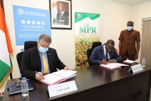 Autosuffisance en riz : signature d’un accord de 696 millions de FCFA entre la Côte d’Ivoire et la Fao