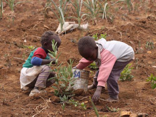 Changement climatique : El Niño menace la vie de près d’un million d’enfants africains, selon l&#039;UNICEF