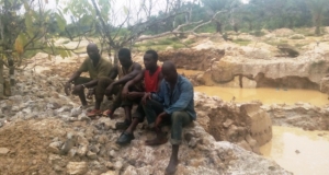 Des orpailleurs clandestins appréhendés dans la forêt de Go-Bodienou ( crédit AIP)
