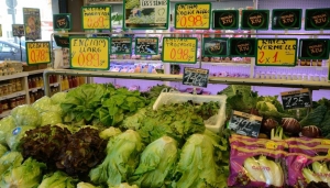 Le coût élevé d&#039;une alimentation saine à blâmer pour la malnutrition
