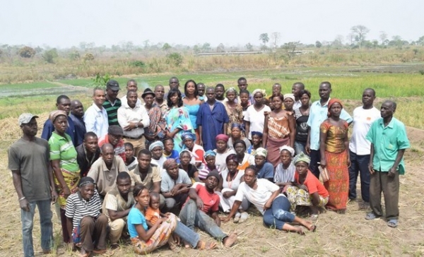 Côte d&#039;Ivoire : un village se lance dans la production de riz de luxe, 2500 T pour commencer