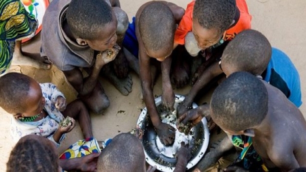 Vaincre la faim en Afrique par la multisectorialité