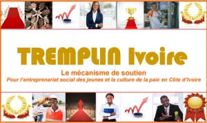 &quot;Tremplin Ivoire&quot;: Concours entrepreneuriat social pour jeunes, 3,5 millions à la clé...les conditions