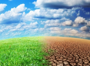 Climat : L’Afrique de l’Ouest en route pour la COP21 à Paris