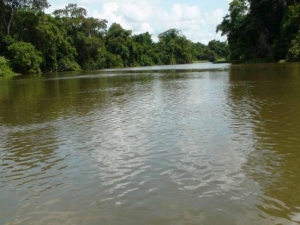 Côte d’Ivoire : Des eaux usées d’une usine droit dans le fleuve Bandama