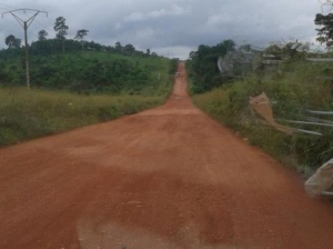 Réhabilitation de l&#039;axe San Pedro-SOGB (100 km) : Les raisons de la suspension des travaux