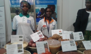 Côte d’Ivoire-SARA 2017 : de Kafiokaha à Abidjan, des femmes rurales à la recherche de partenaires pour la sécurité alimentaire
