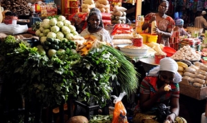 Côte d’Ivoire : Un réseau d’organisations de la société civile contre la malnutrition installé à Abidjan