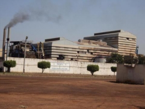Grève à la Sucaf Ferké : 2 morts dans des affrontements entre forces de l’ordre et grévistes