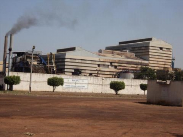 Grève à la Sucaf Ferké : 2 morts dans des affrontements entre forces de l’ordre et grévistes