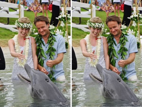 Mariage hawaien d&#039; Alex et Lisa