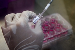 COVID-19: vers un accès définitif au vaccin