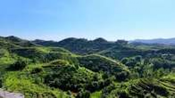 Le mont Bijia &agrave; Shangyou : laboratoire unique des pratiques &eacute;cologiques
