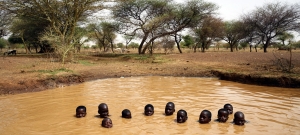 Région du Sahel : Près de 5 millions d&#039;enfants auront besoin d&#039;une aide humanitaire cette année (UNICEF)