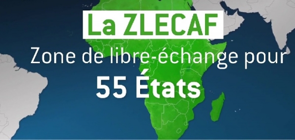 Transport maritime : les Alumni de la Fondation Friedrich Naumann s’imprègnent des enjeux de l’accord ZLECAF