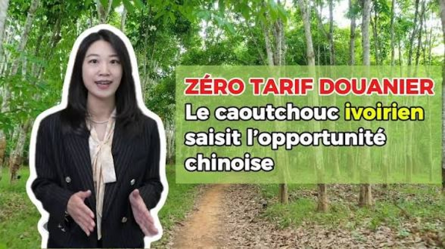 ZÉRO TARIF DOUANIER  Le caoutchouc ivoirien saisit l'opportunité chinoise