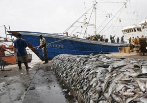 Fin de la première phase de modernisation du port de pêche d’Abidjan