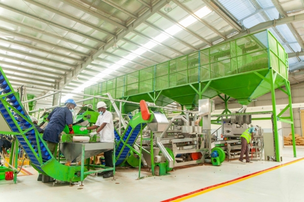 Centre d’innovations et de technologies de l’anacarde de Yamoussoukro : Un pole pour conforter la place de leader mondial de la Côte d’Ivoire