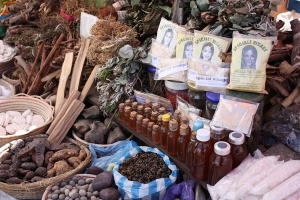 Côte d&#039;Ivoire : Les tradipraticiens désormais interdits de publicité