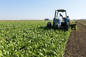 Sécurité alimentaire : A Yamoussoukro, le premier pôle agro-industriel de Côte d&#039;Ivoire sort de terre en 2022
